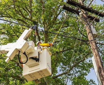 An Oncor employee trims branches.